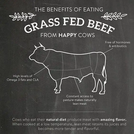 The Benefits of Grass Fed Beef