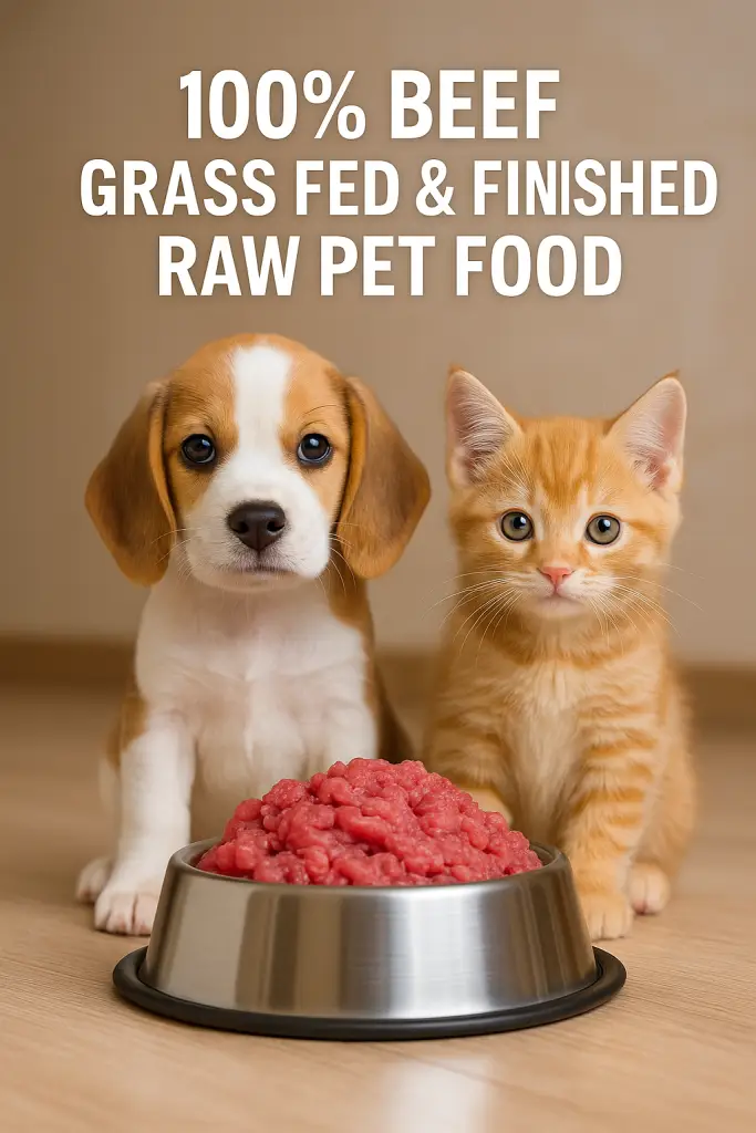 beef pet food