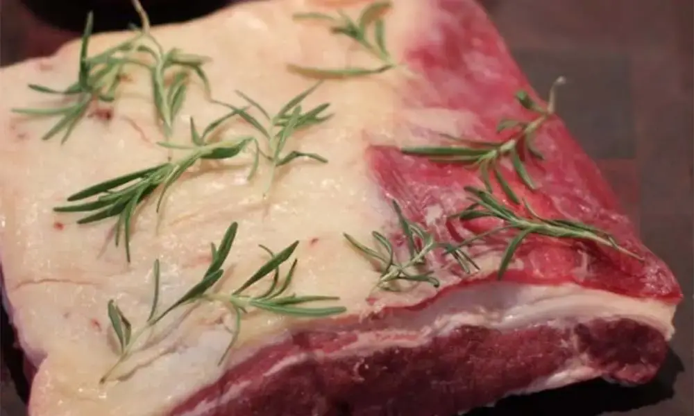 what is beef brisket