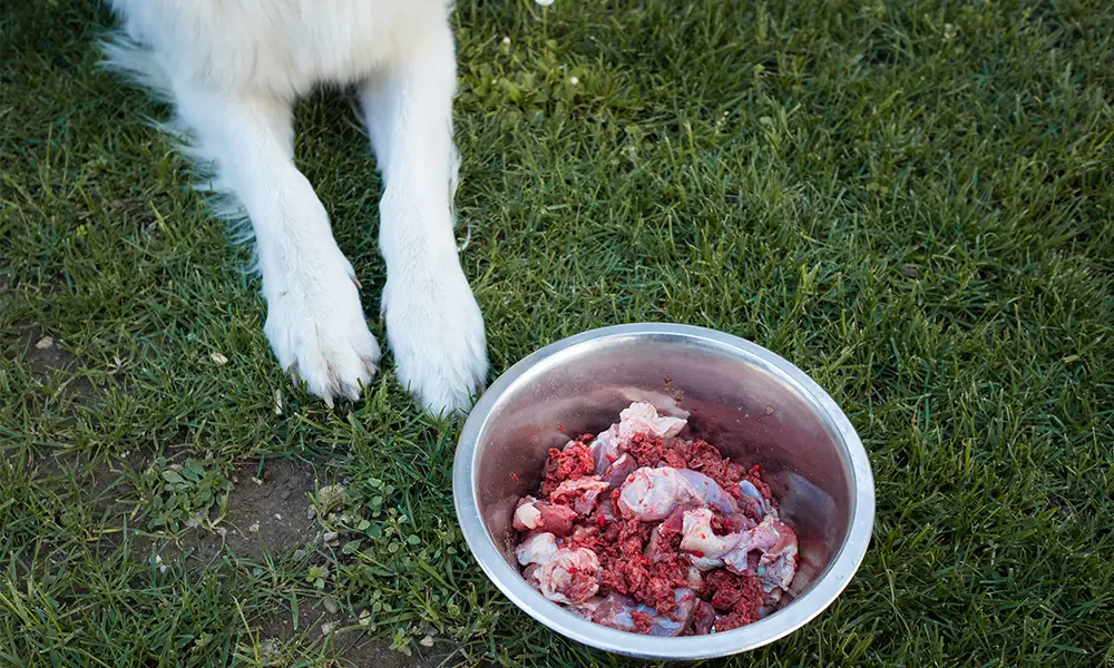 grass-fed pet Food