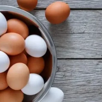 Free range eggs